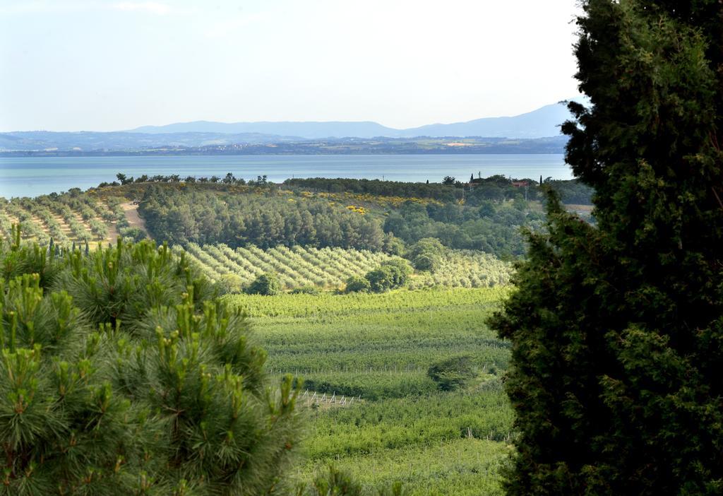 Agriturismo San Severo Villa Passignano sul Trasimeno Ngoại thất bức ảnh